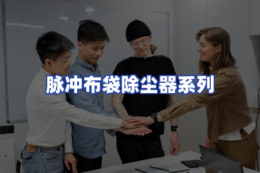 脉冲布袋除尘器系列