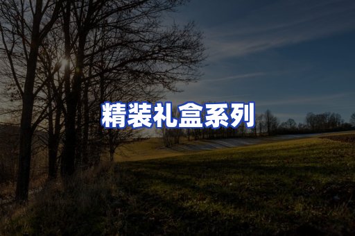 精装礼盒系列